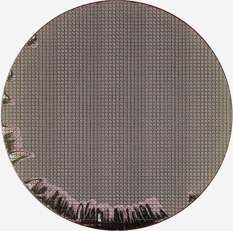 SPIN DEFECT ON EDGE - Semiconductor Wafer Macro Defect Image - 1